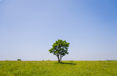 完善制度，规范流程，严格履行信息披露义务